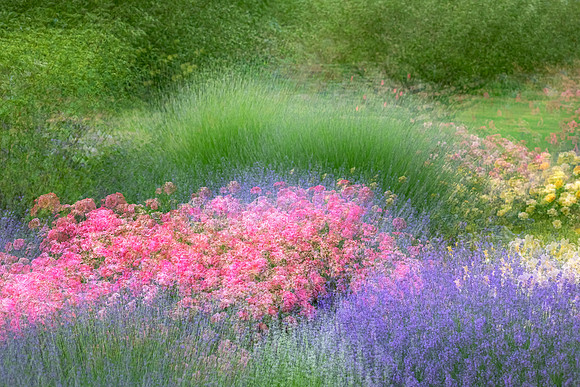 Botanical Garden